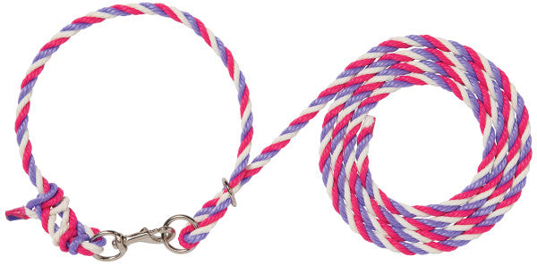 A twisted rope dog leash in a red, white, and blue patriotic pattern with a silver metal clasp, shown coiled on a white background.