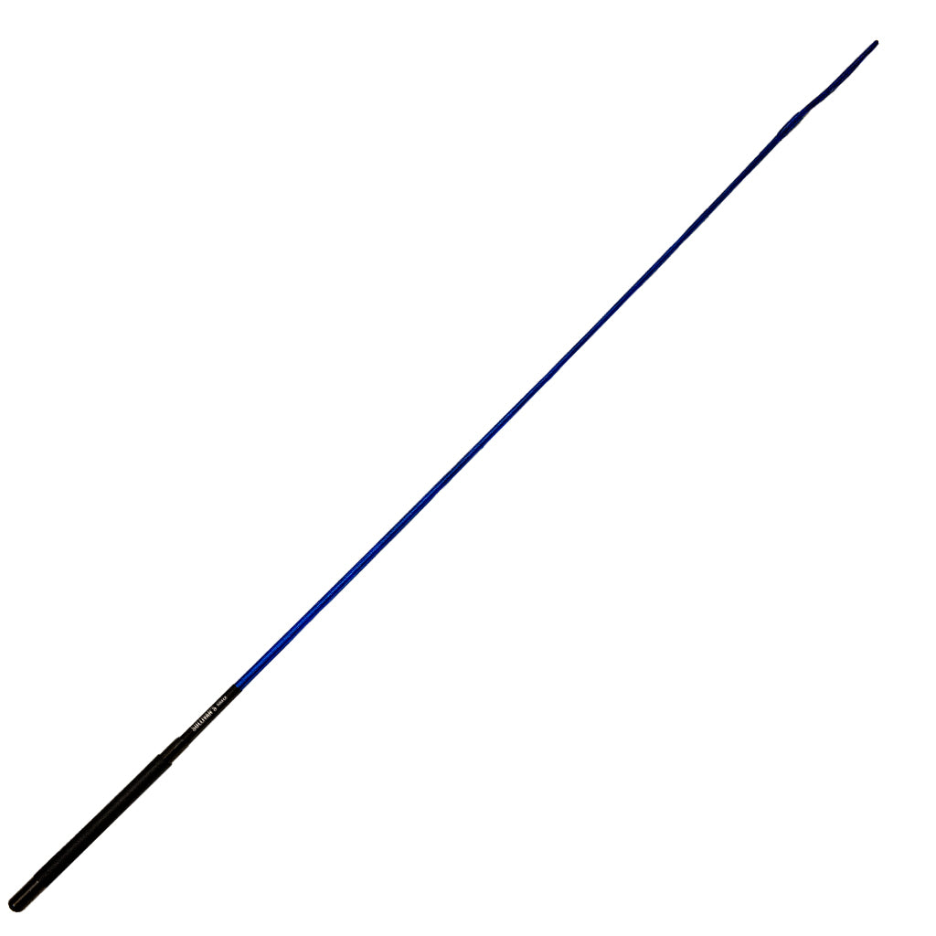 Long black whip with a blue stripe on a white background