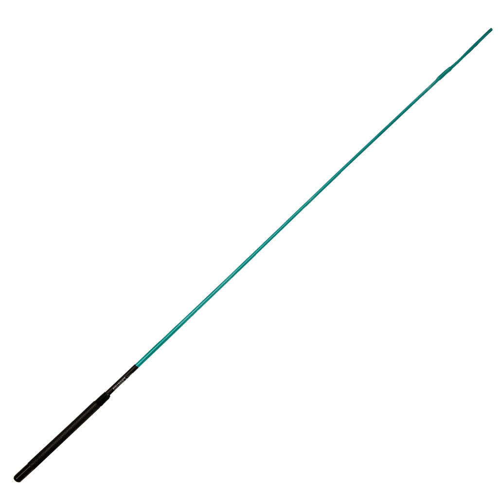 Teal and black whip on a white background