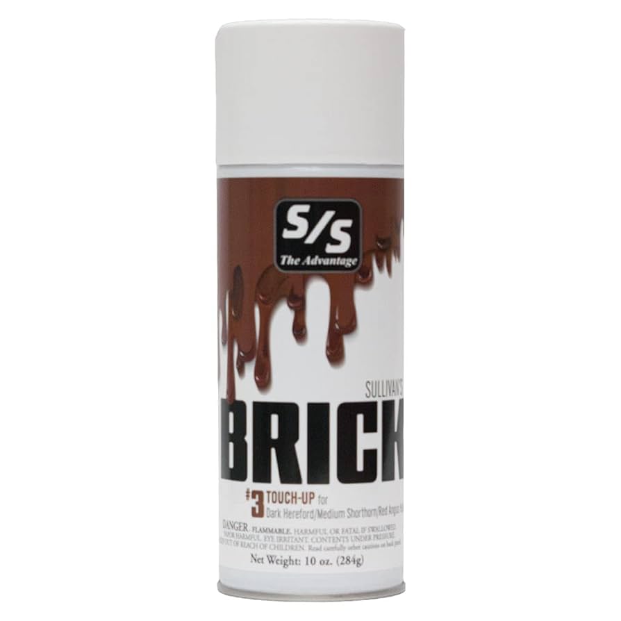 S/S brand spray can labeled 'BRICK' on a white background