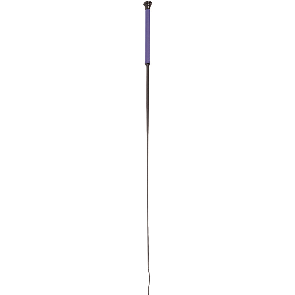 Long black pole with a blue top on a white background