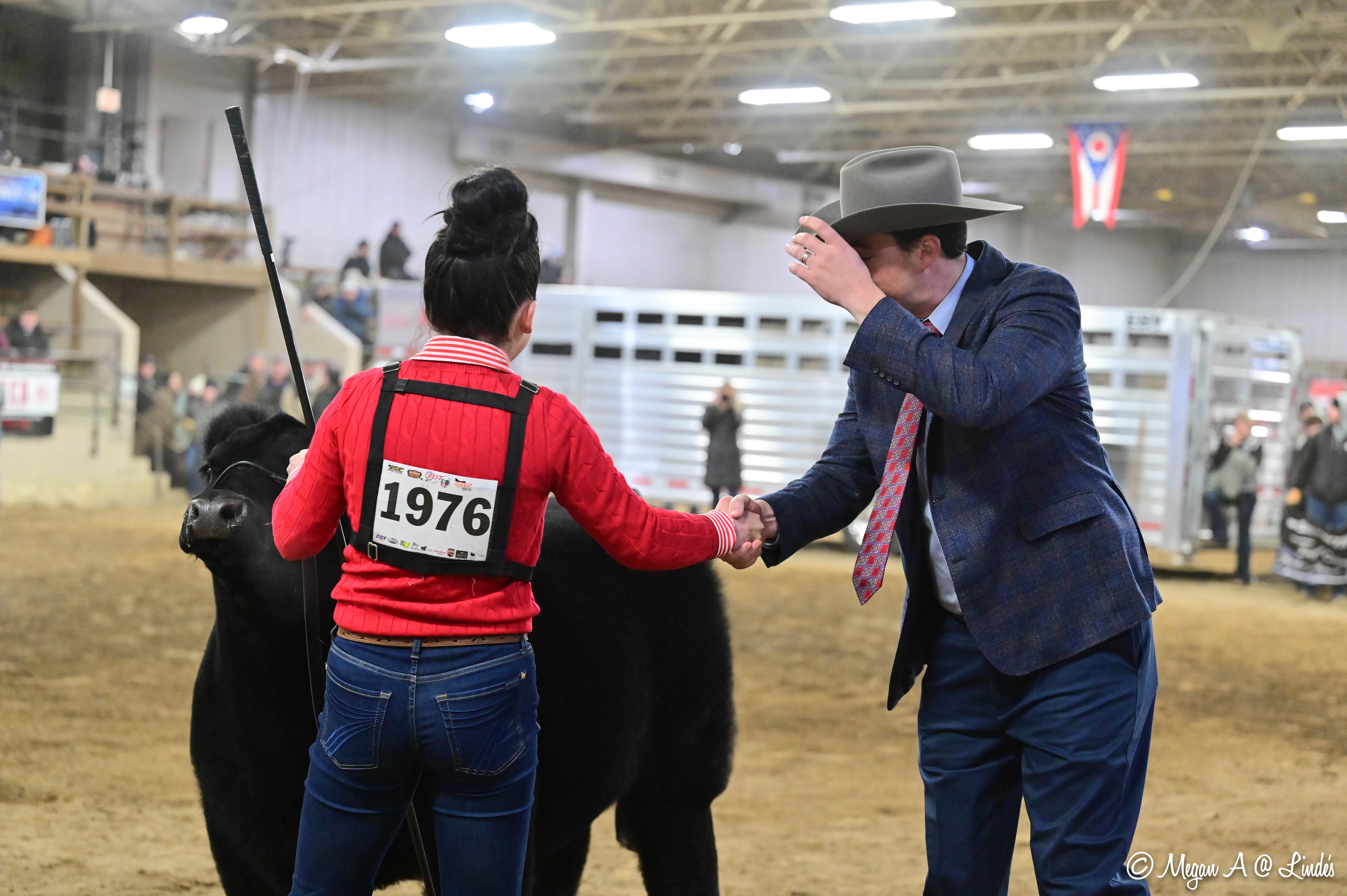 Two people shaking hands with a cow in an indoor arena, likely at a livestock show.
