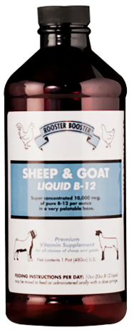 Bottle of Rooster Booster Sheep & Goat Liquid B-12 supplement with label.