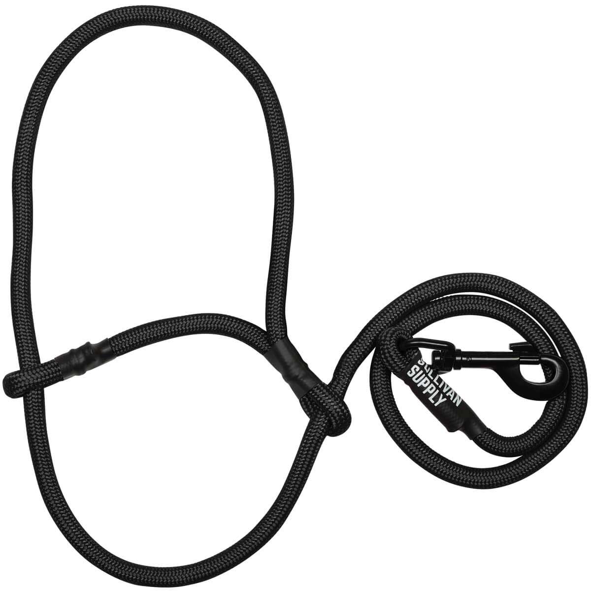 Black dog leash with clip on a white background