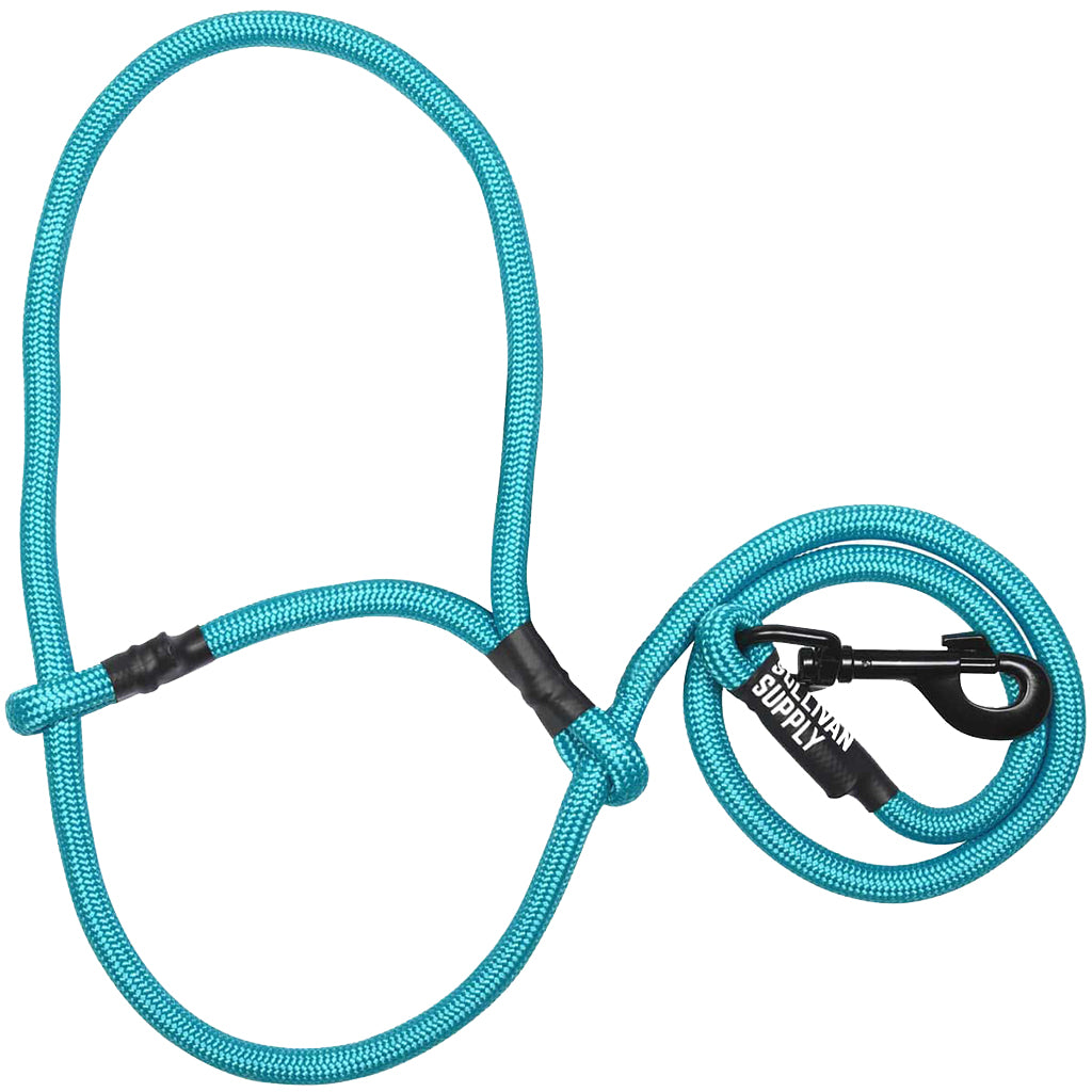Turquoise dog leash with black clip on a white background