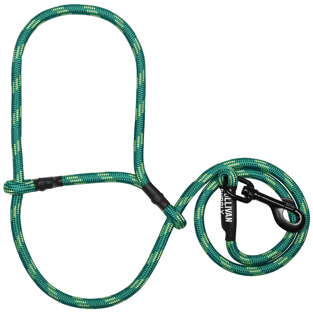Green dog leash with a clip on a white background
