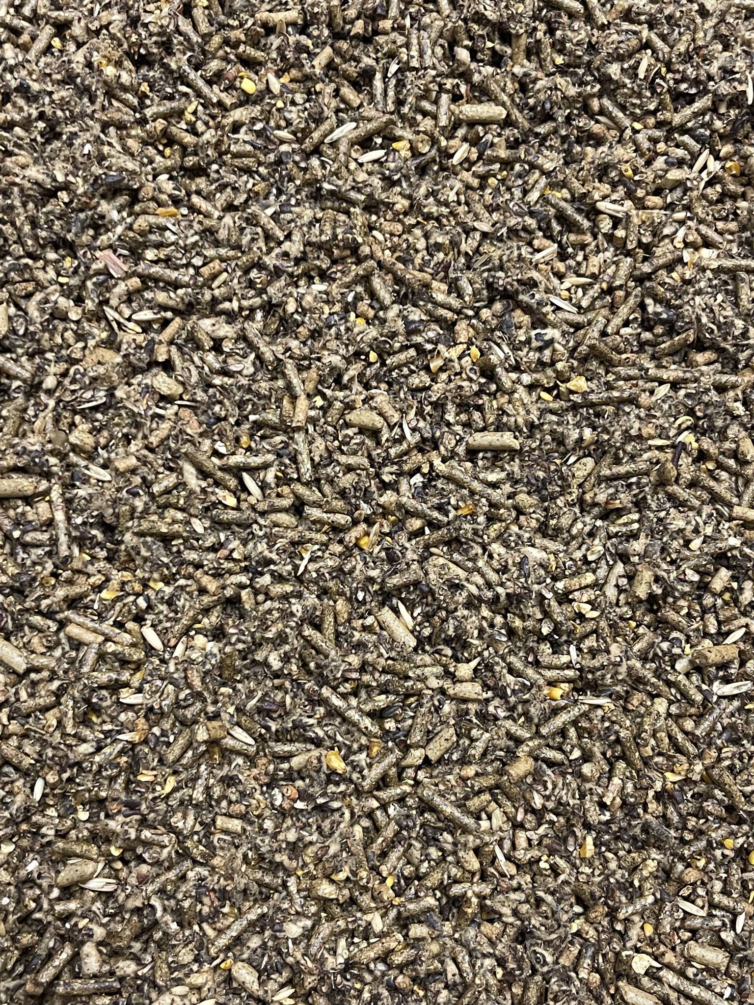 Close-up of a textured surface with small granules and particles