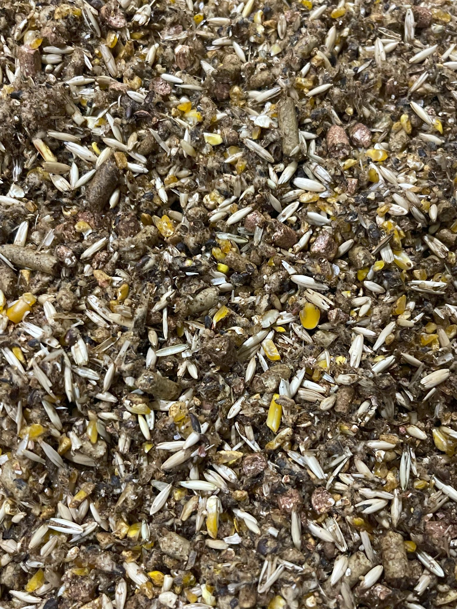Close-up of a mixture of small seeds and grains on a textured surface