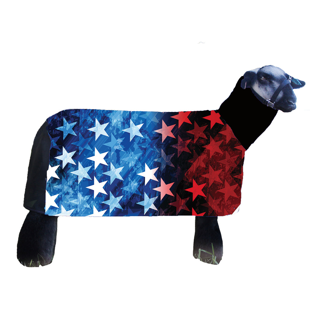 A dog wearing a black dog coat with an American flag star pattern, isolated on a white background.