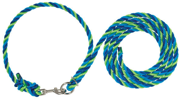 A braided rope lead or leash with a silver metal snap hook, shown coiled on a plain white background. The rope has a distinct pattern of blue, green, and white stripes.