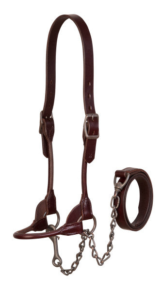 Brown leather horse bridle with chain on a white background