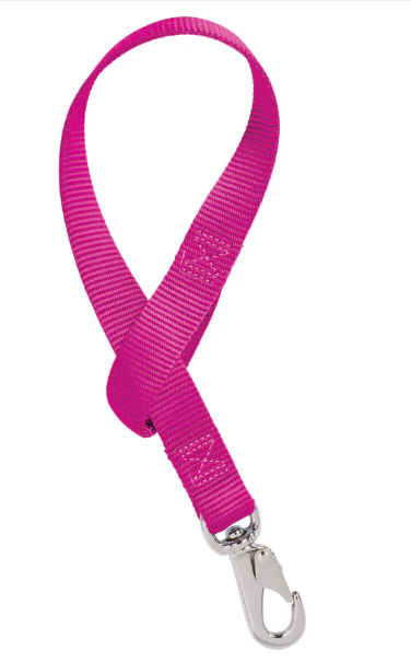 A bright pink nylon web lanyard with a silver metal lobster clasp, shown on a plain white background.