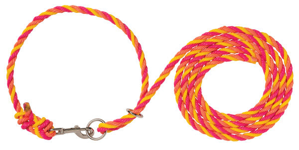 A braided rope lead or leash with a silver metal clasp, shown on a plain white background. The rope has a distinct pattern of bright pink and yellow strands, coiled on both sides of the clasp.