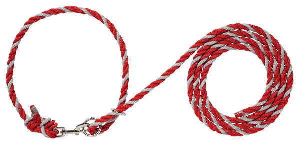 Red and white braided rope lead with a metal snap hook and knot, coiled on a white background.