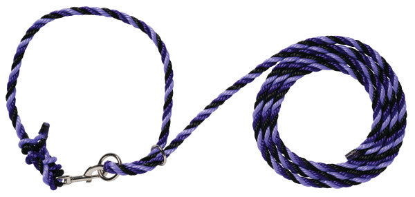 Purple braided dog leash on a white background