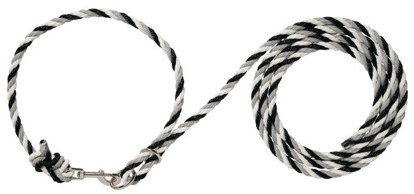Black and white striped dog leash on a white background
