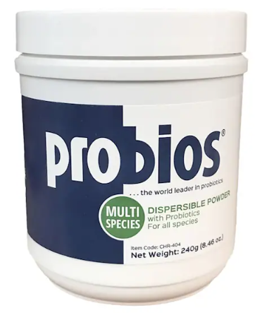 Probiotic powder container labeled 'Probios' on a white background