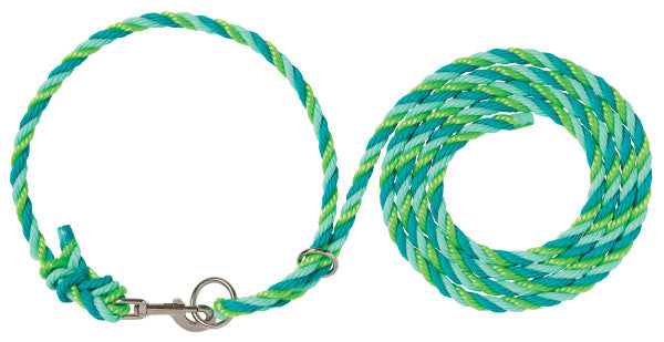 Green and blue braided dog leash with metal clip on a white background