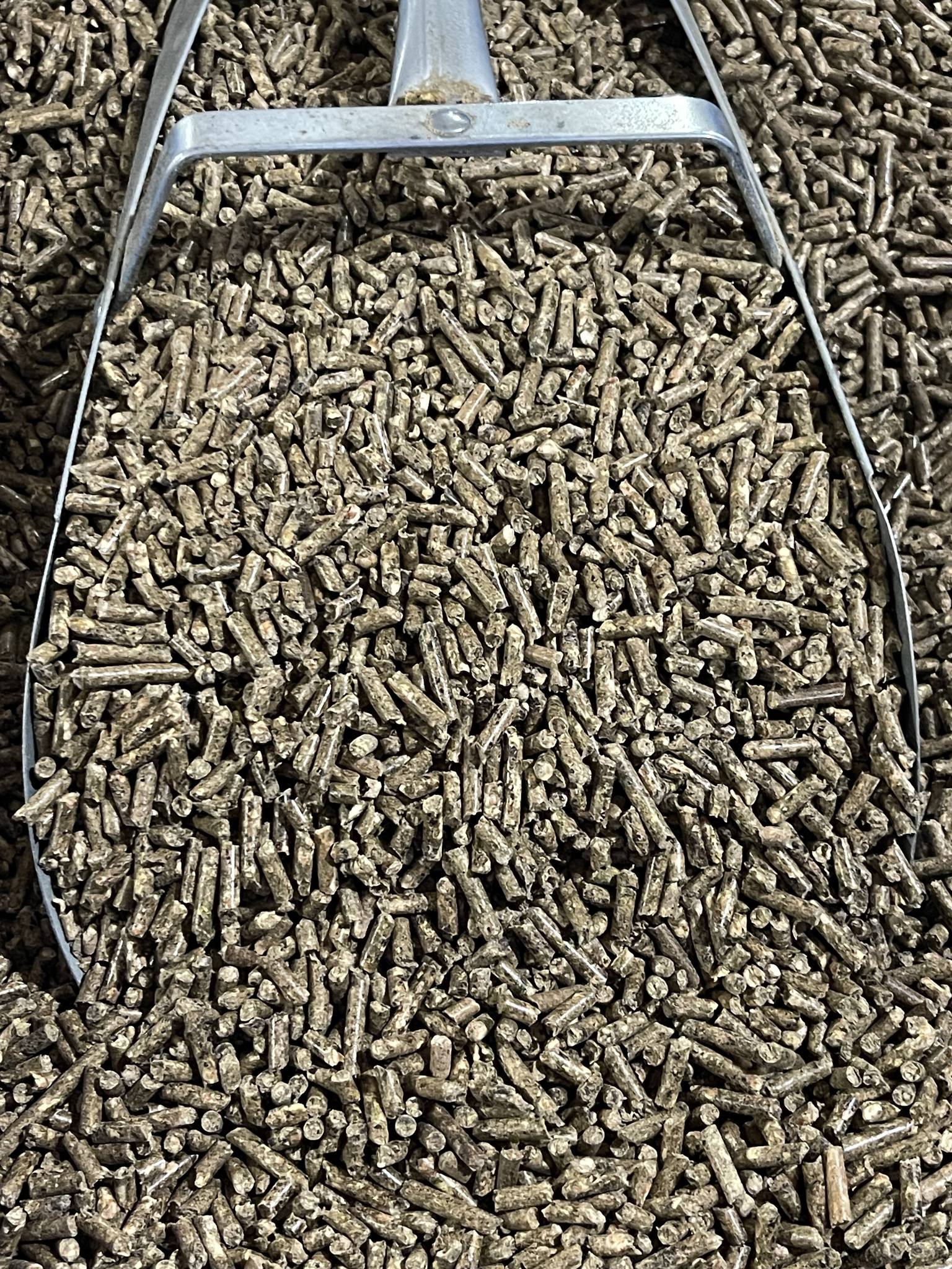 Close-up of a metal scoop filled with brown animal feed pellets.