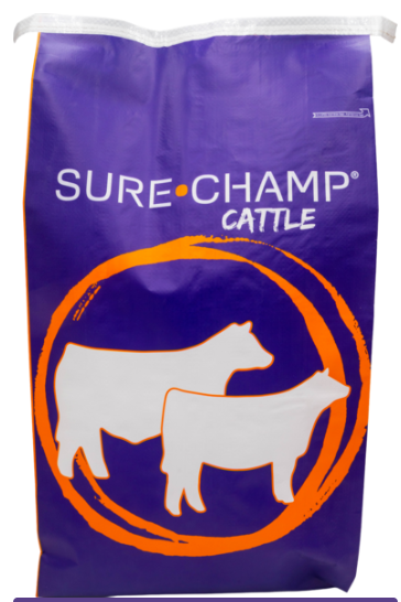 Purple bag with 'Sure-Champ Cattle' branding and cow illustrations on a white background