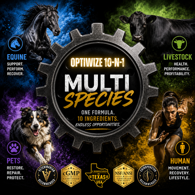 Optiwize