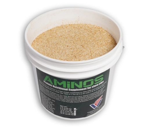 Bucket of Aminos protein nutritional supplement for show pigs on a white background