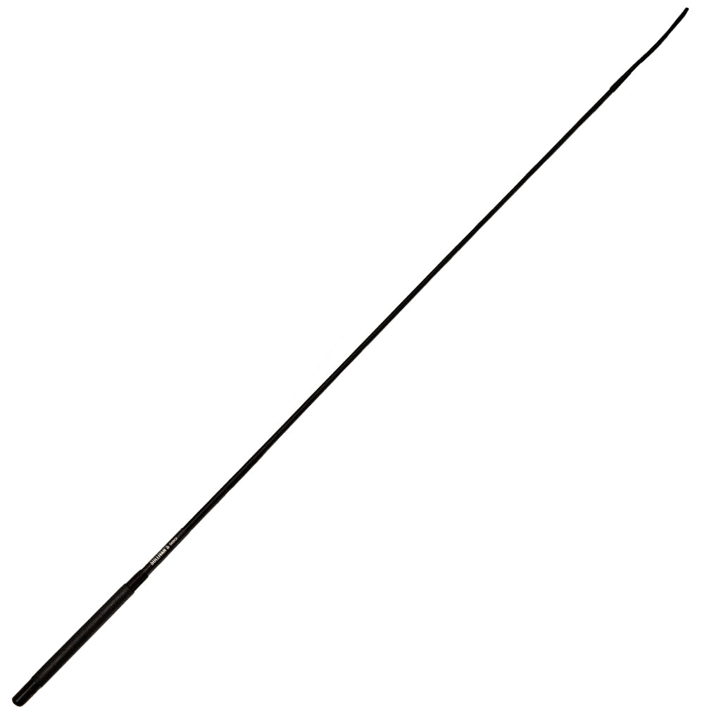 Black whip on a white background