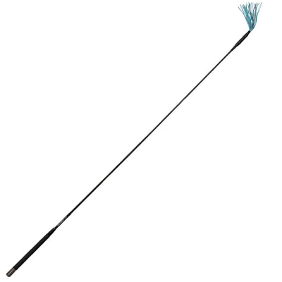 Long black rod with a blue and green feathered top on a white background