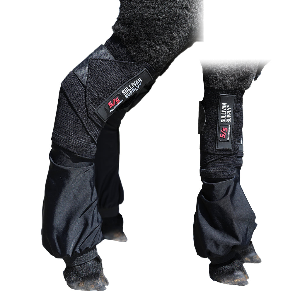 Black protective leg wraps on a lamb's legs with Sullivan Supply branding.