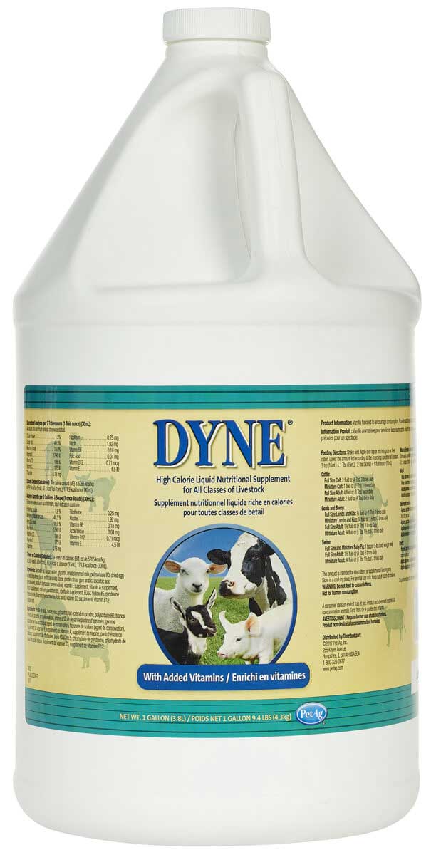 Gallon container of DYNE supplement with label on a white background