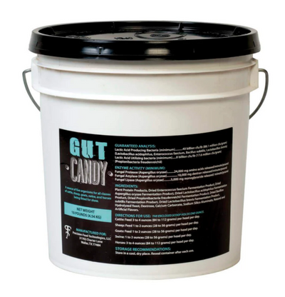 White bucket with black lid and label on a white background