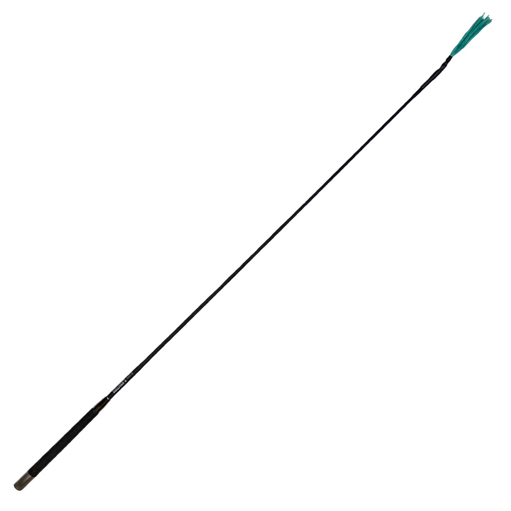 Long thin black rod with a green tip on a white background