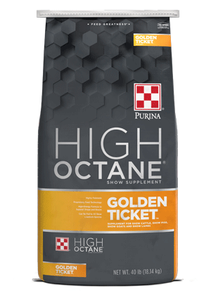 Purina High Octane Golden Ticket show supplement bag on a white background