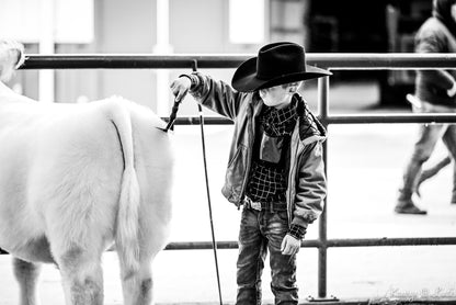 Person in cowboy hat and jacket standing next to a cow in a pen
