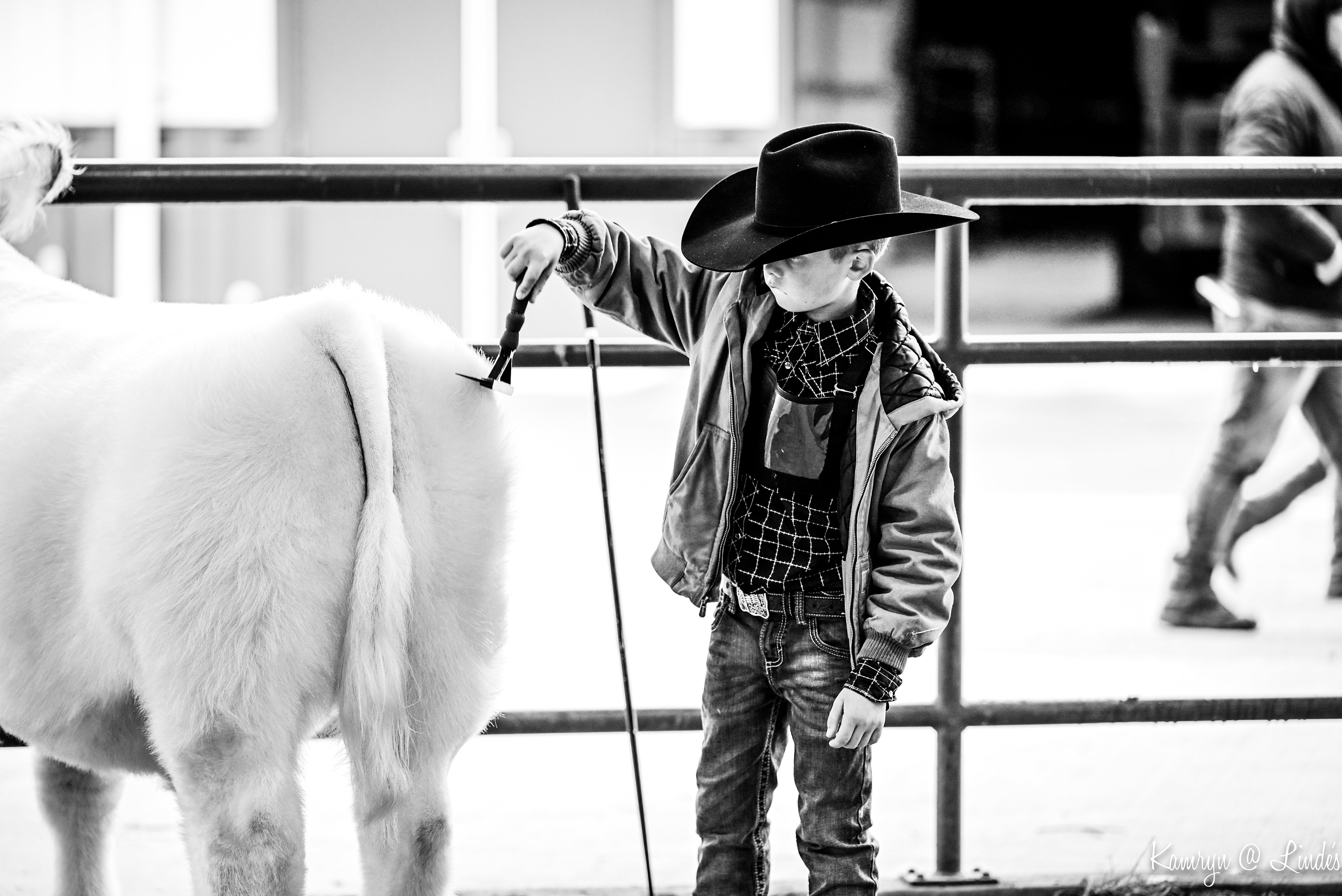 Person in cowboy hat and jacket standing next to a cow in a pen