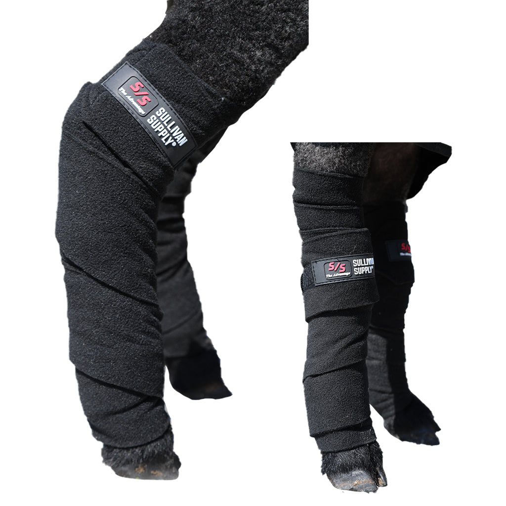 Black protective leg wraps on a lamb's legs with 'Sullivans Supply' branding.