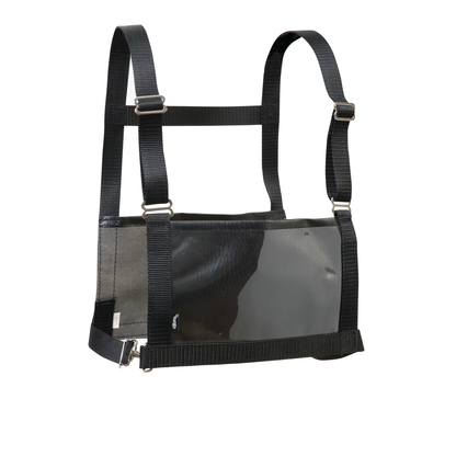 Black harness with transparent panels on a white background