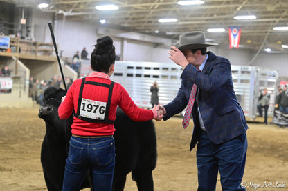 Two people shaking hands with a cow in an indoor arena, likely at a livestock show.