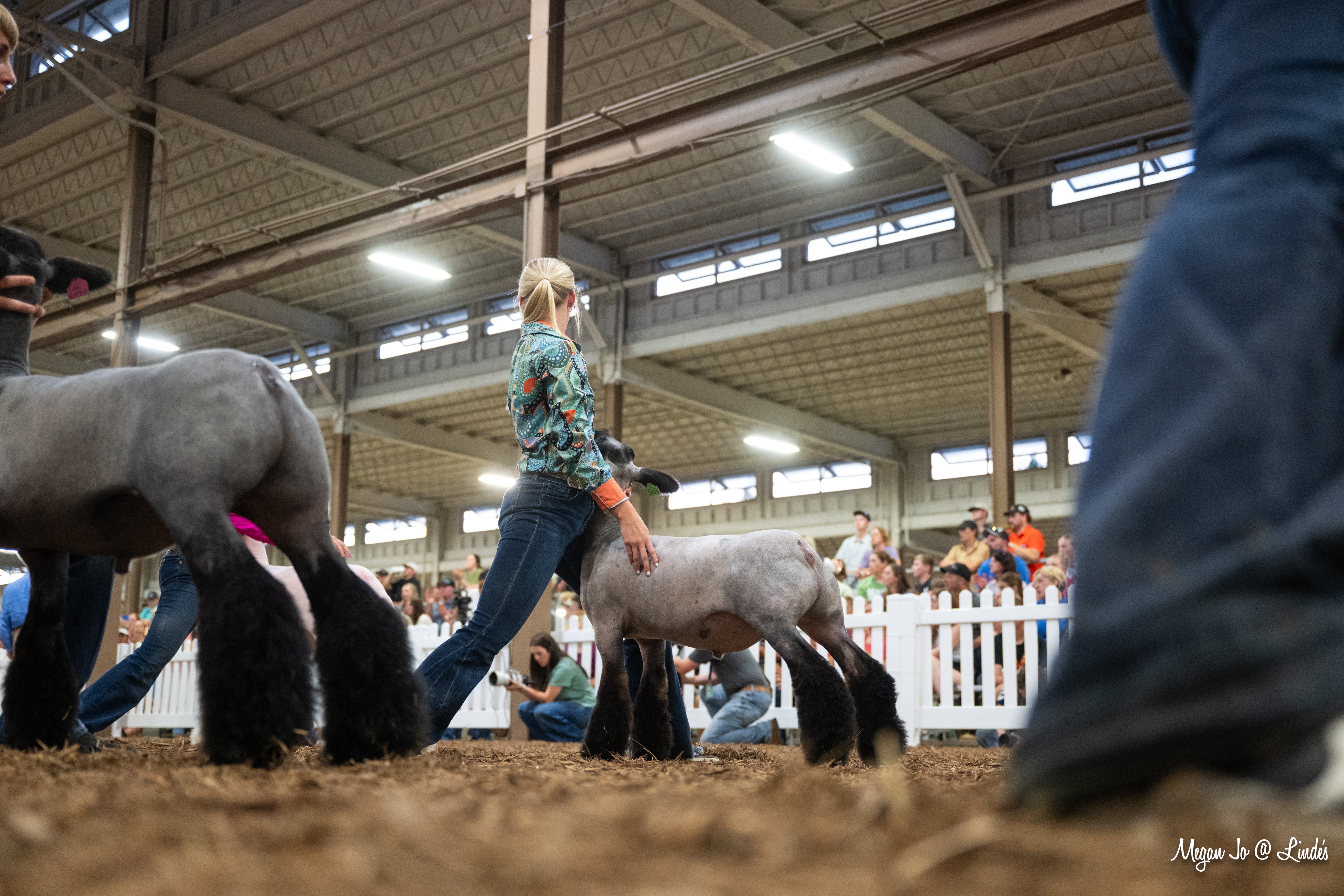 Person holding a lamb at a livestock show with other animals and spectators in the background.
