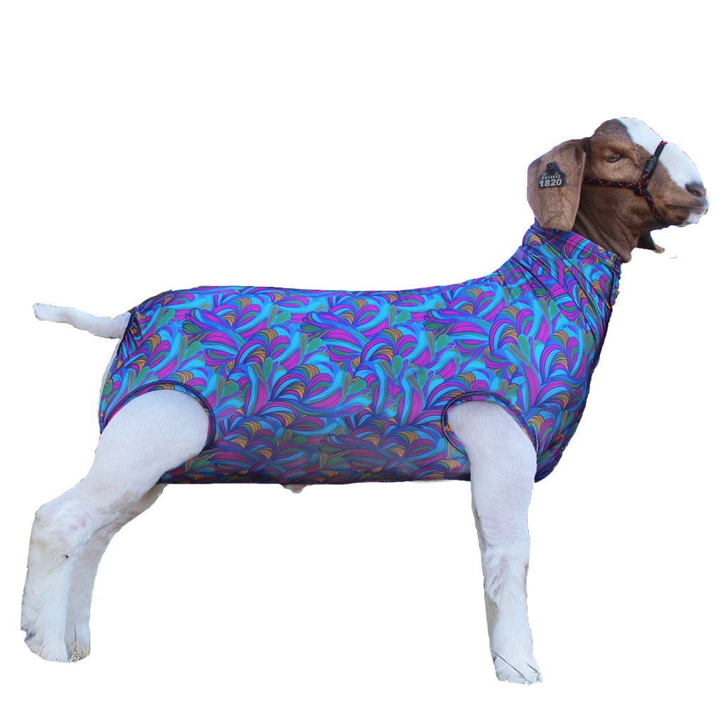 A dog wearing a colorful patterned dog coat or sweater, shown in profile against a plain white background.
