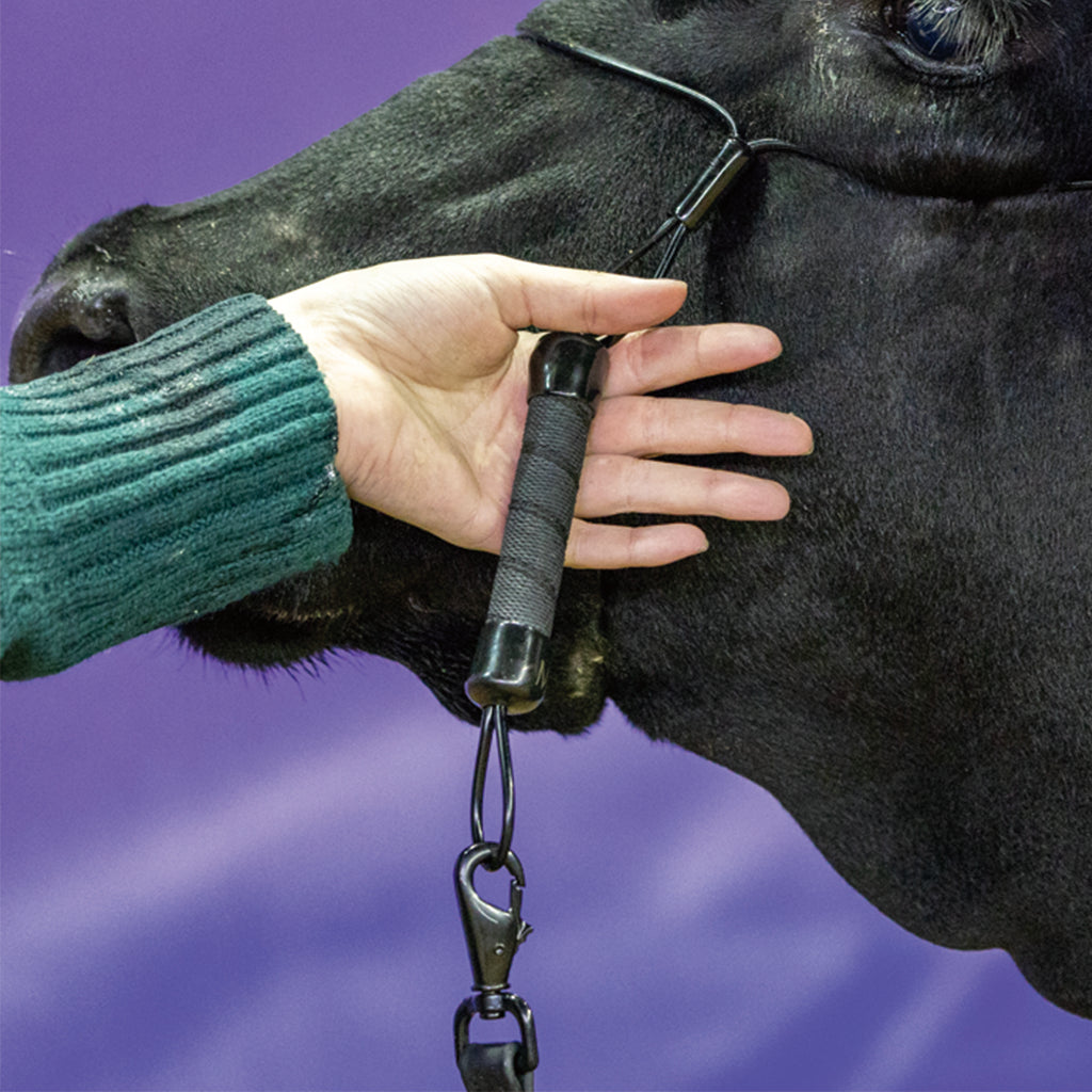 Hand holding a black horse bridle against a purple background