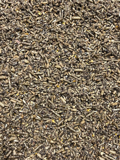 Close-up of a textured surface with small granules and particles