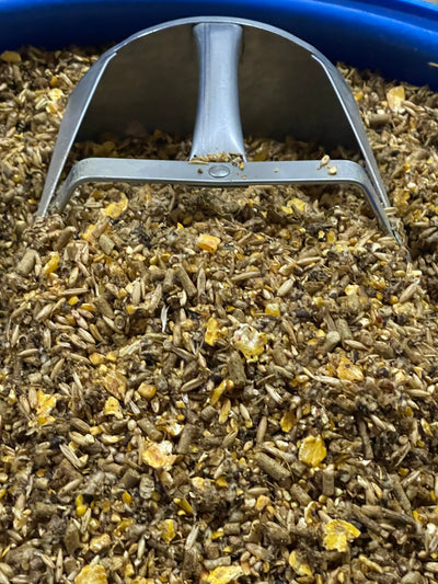 Metal scoop in a container of feed