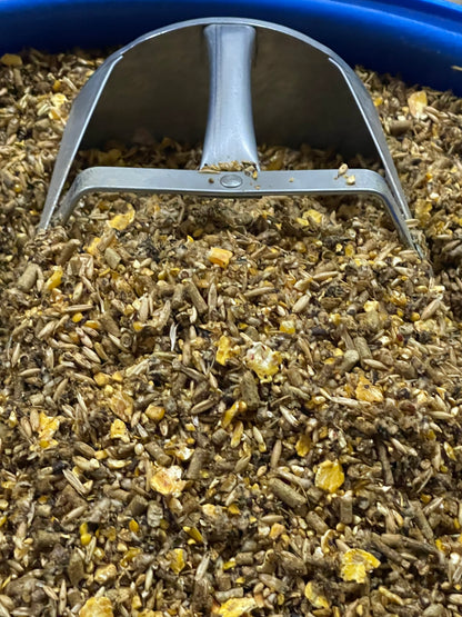Metal scoop in a container of feed