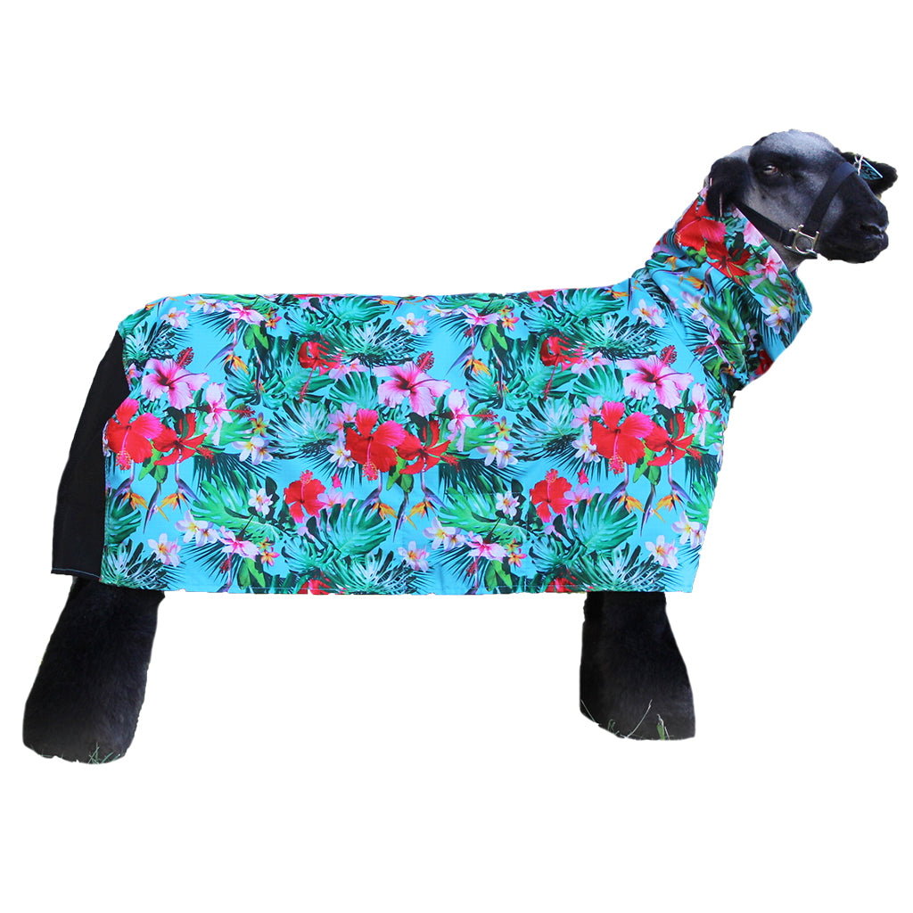 A black sheep wearing a colorful tropical-print dog coat with a matching neck cover, isolated on a white background.