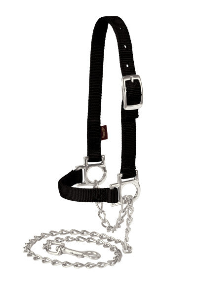 Black halter with metal chain on a white background