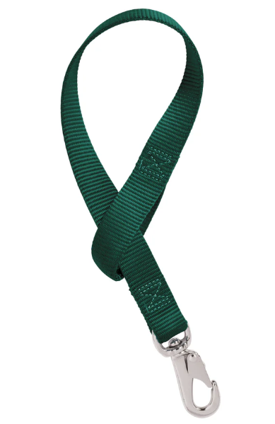 hunter green nylon strap on a white background