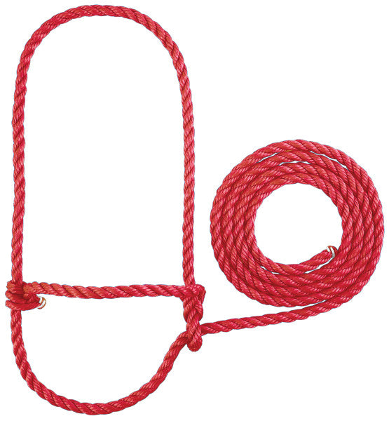 Red rope halter on a white background