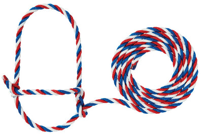 Red, white, and blue rope toy with a loop on a white background
