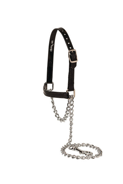 Sheep & Goat Halter Clear Coat Brahma